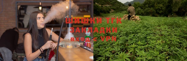 молекула духа Алексин