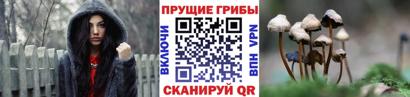 Галлюциногенные грибы GOLDEN TEACHER Сортавала